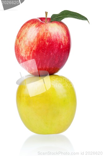 Image of Fresh apple