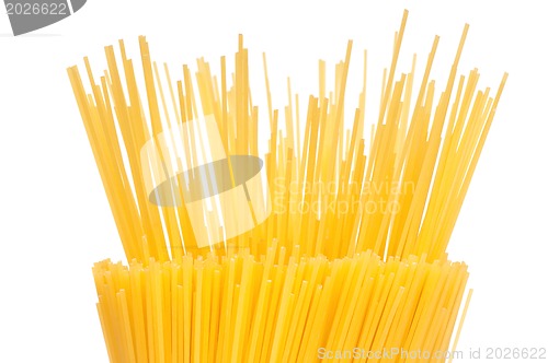 Image of Spaghetti