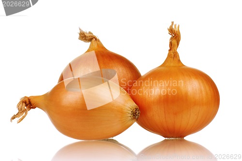 Image of Fresh onion