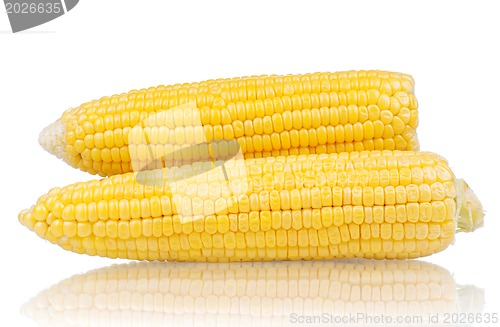 Image of Fresh corn