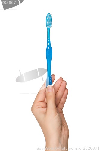 Image of Hand with tooth brush