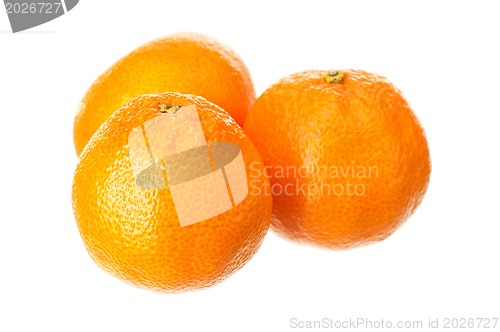 Image of Mandarin fruits