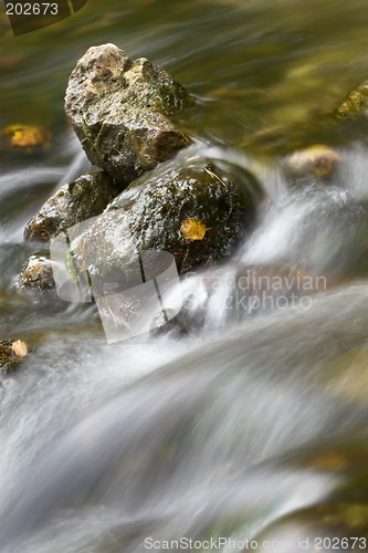 Image of Rocks in a streamlet