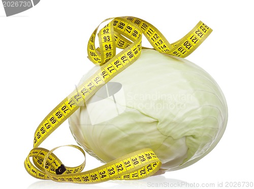 Image of Fresh cabbage