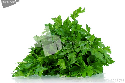 Image of Fresh parsley