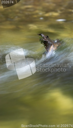 Image of Rocks in a streamlet