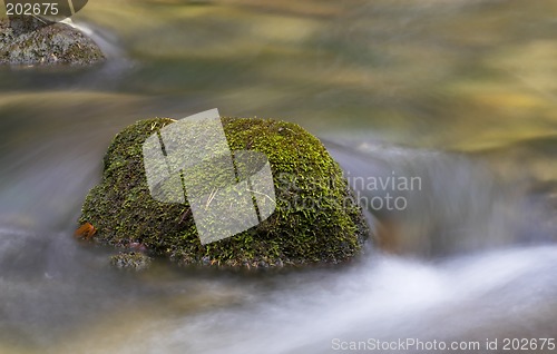 Image of Rocks in a streamlet