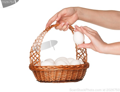 Image of Basket with eggs