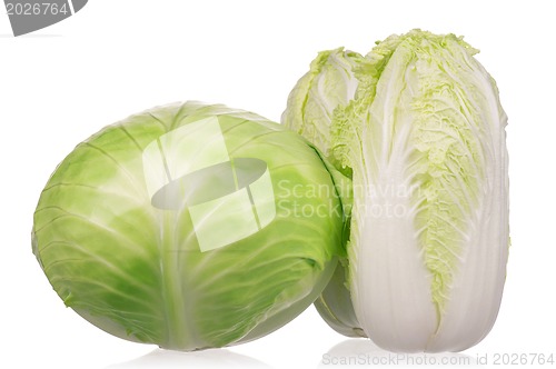 Image of Fresh cabbage