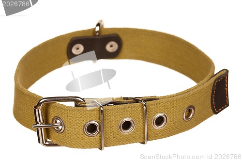 Image of Dog collar