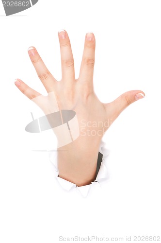 Image of Woman hand