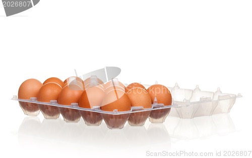 Image of Eggs in box