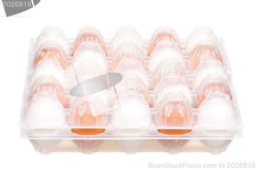 Image of Eggs in box