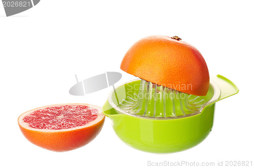 Image of Juicer for citrus