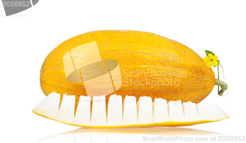 Image of Cantaloupe melon