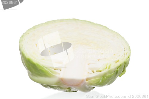 Image of Fresh cabbage