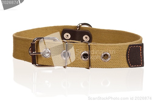 Image of Dog collar