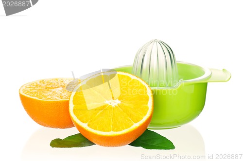 Image of Juicer for citrus