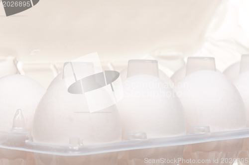 Image of Eggs in box