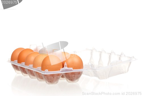 Image of Eggs in box