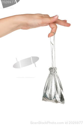 Image of Hand with money bag