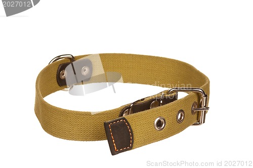 Image of Dog collar