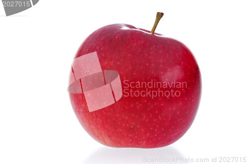 Image of Fresh apple