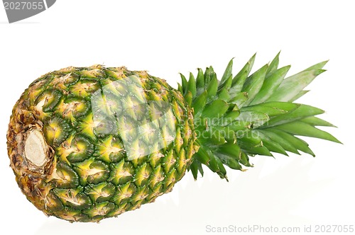 Image of Pineapple