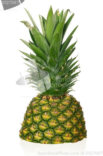 Image of Pineapple