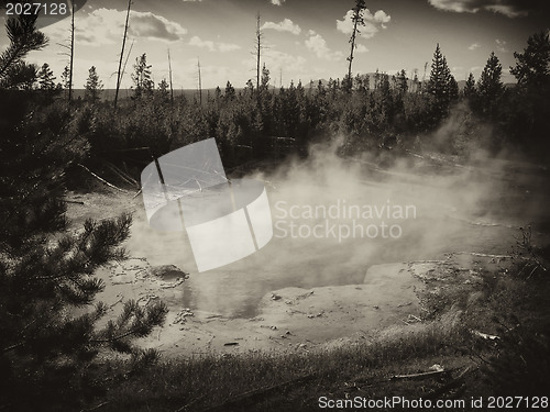 Image of Yellowstone Geyser