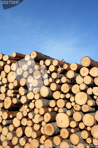 Image of Stack of Wood and Blue Sky