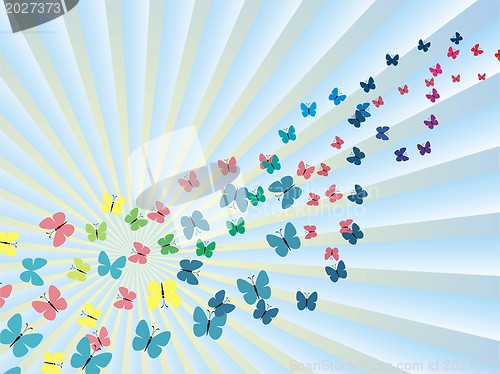 Image of Colorful background with butterfly, beautiful decorative background 