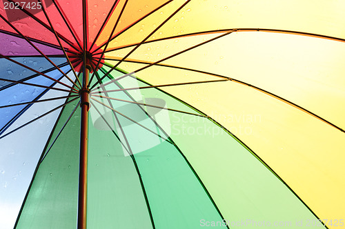 Image of Under an umbrella