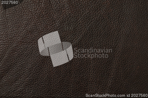 Image of brown leather