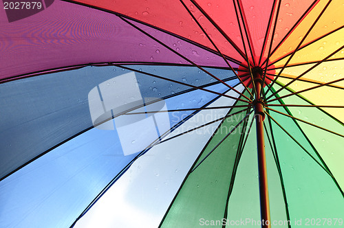 Image of Under an umbrella