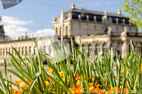 Image of dresden and flowers