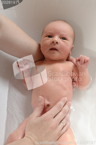 Image of newborn baby in bathtub