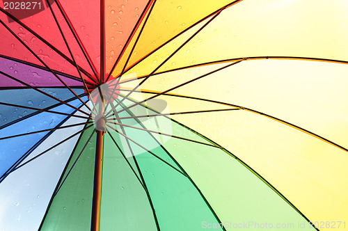 Image of Under an umbrella