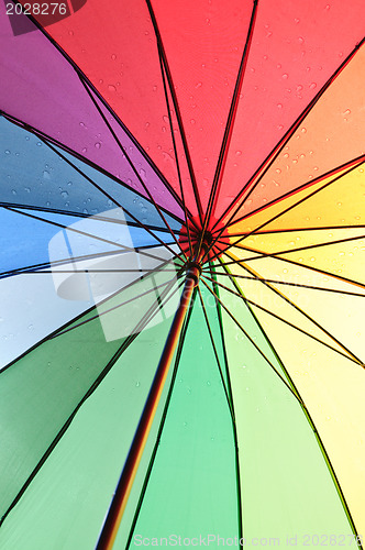 Image of Under an umbrella