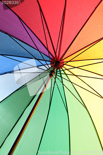 Image of Under an umbrella