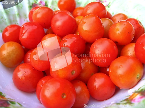 Image of Background of red small ripe tomatoes