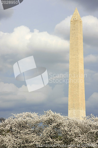 Image of Washington Memorial
