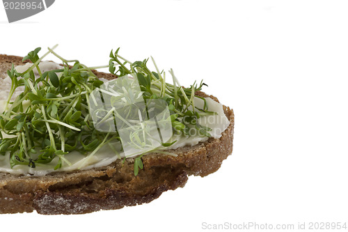 Image of Cress and bread and butter