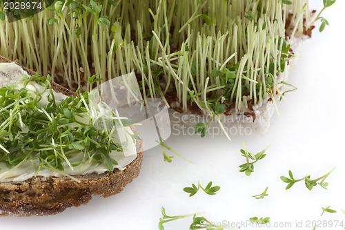 Image of Cress and bread