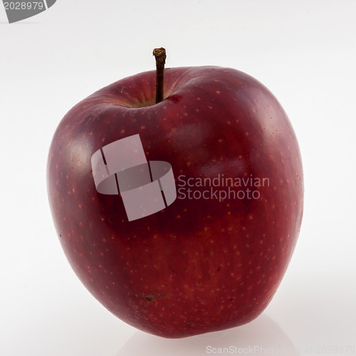 Image of The red apple