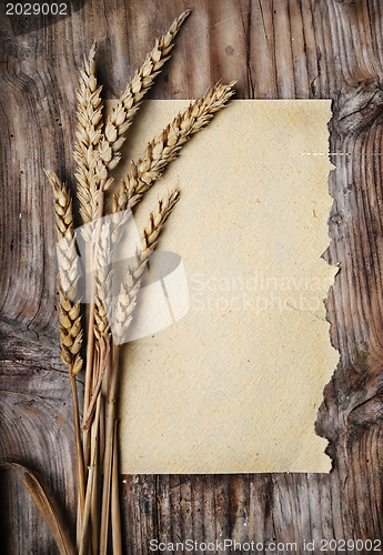 Image of Wheat Ears