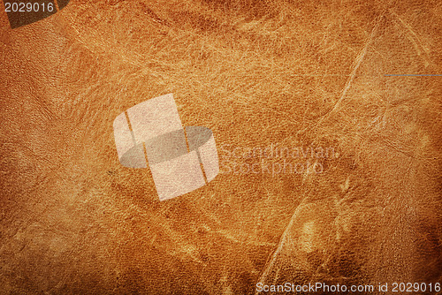 Image of Leather Texture