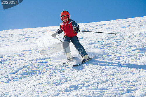 Image of Young rider