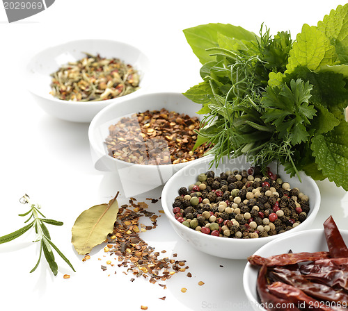 Image of Spices And Herbs