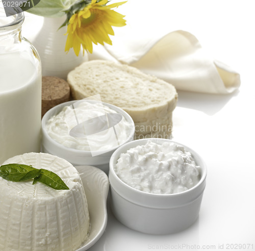 Image of Dairy Products